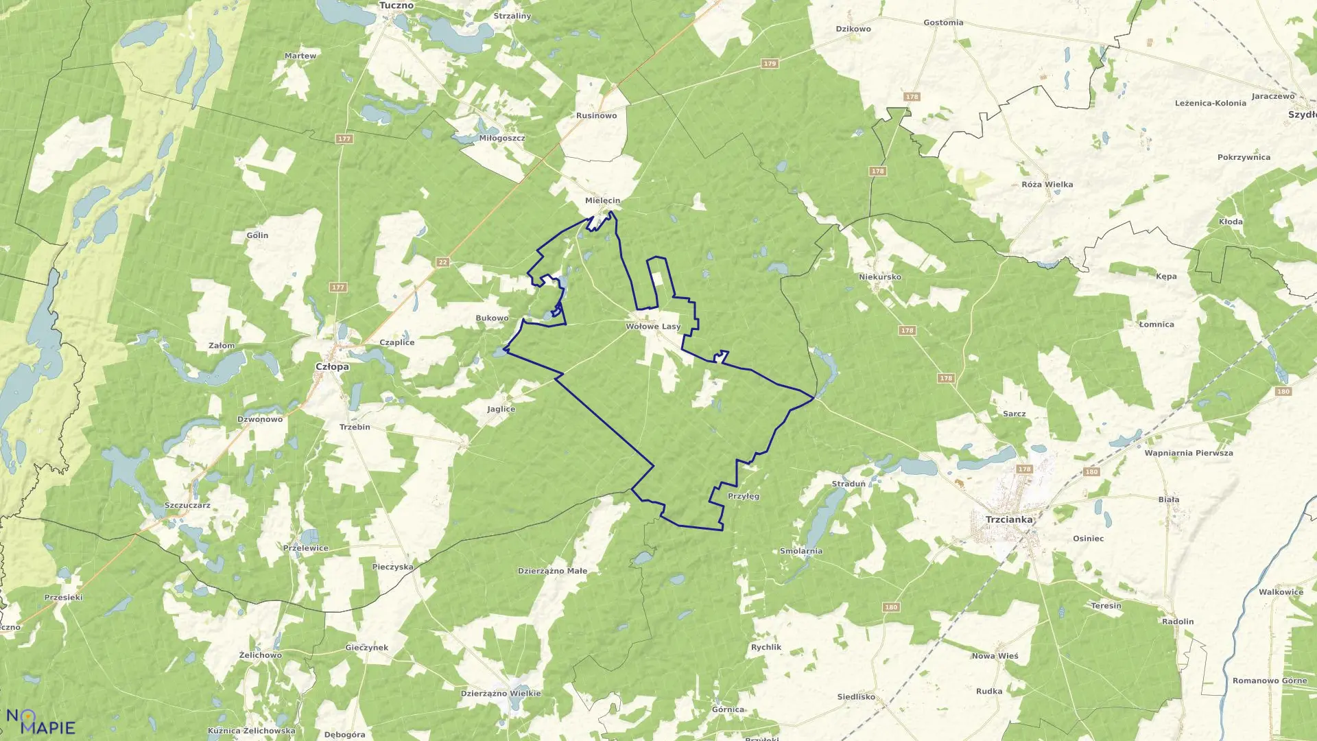 Mapa obrębu Wołowe Lasy w gminie Człopa